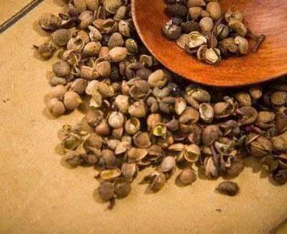 Mắc Khén Rừng Điện Biên